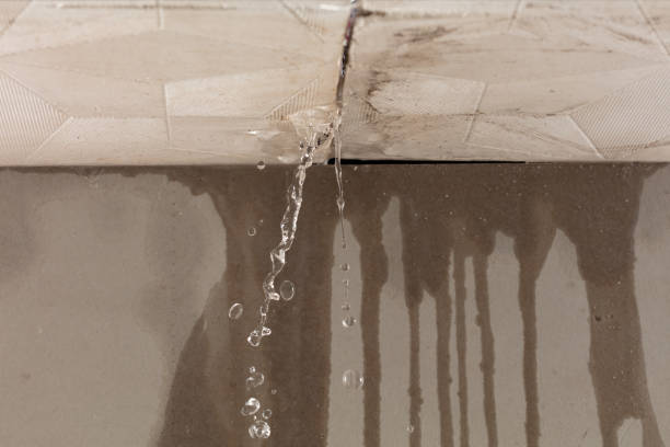 Professional Structural Drying technician working in Dansville, NY